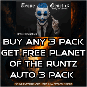 Aeque Genetics