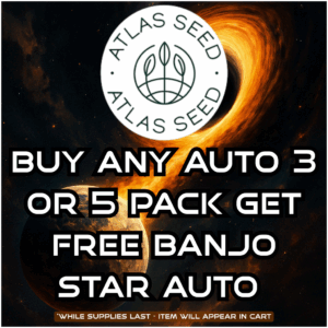 Atlas Seed