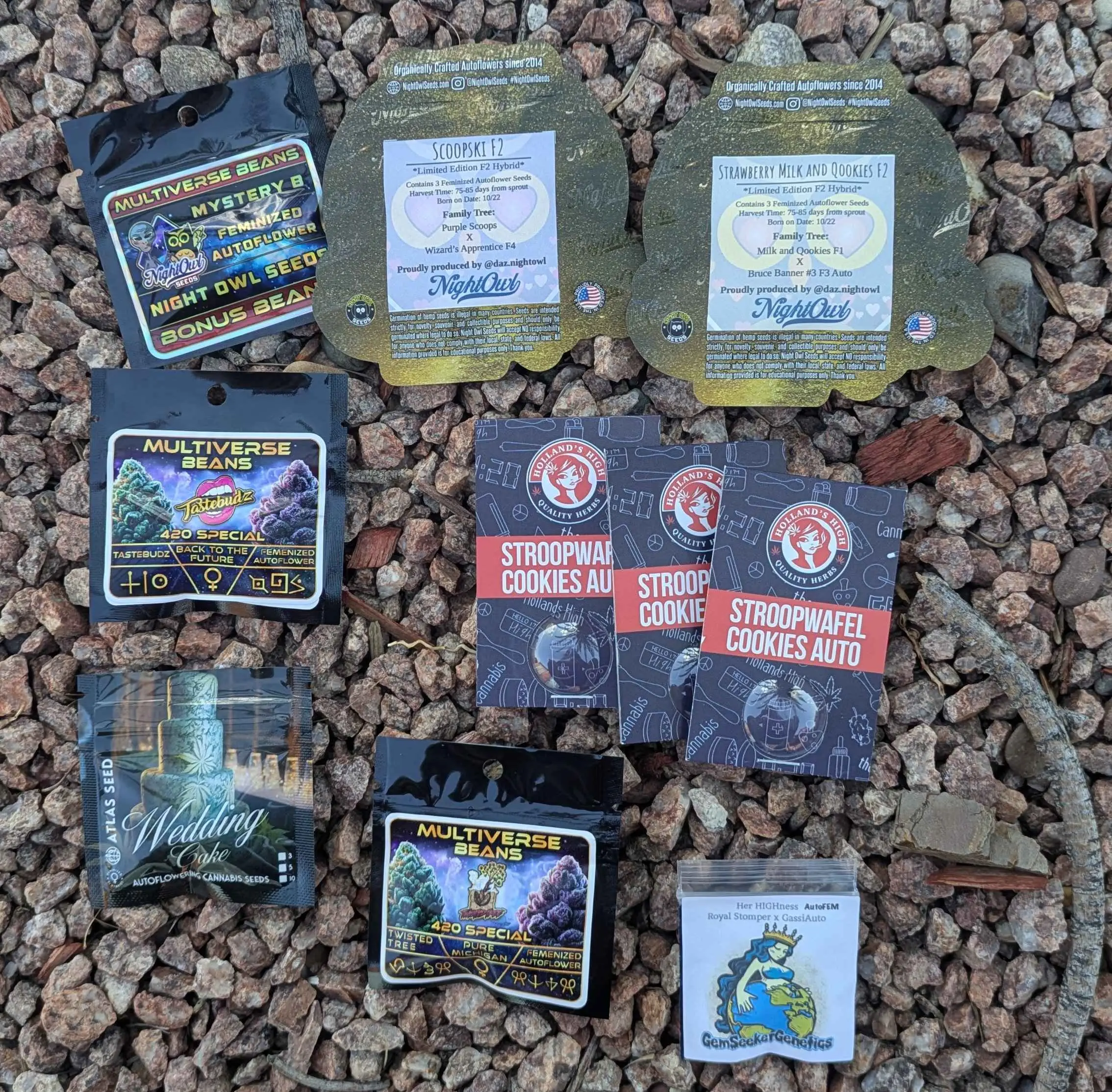 BUD AND GIGGLES AUTO BUNDLE | $4.20 PER SEED