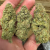GUSHERS | THCA FLOWER | THCA 33.46% - Image 4