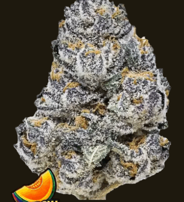 RAINBOW MELON | FAST BUDS | PHOTOPERIOD CANNABIS SEEDS FEMALE