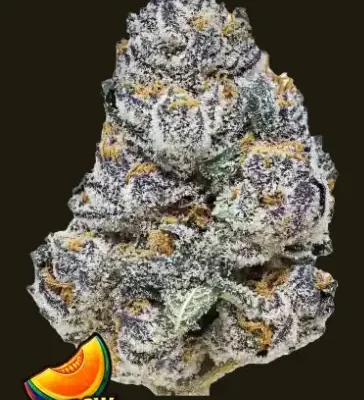 Rainbow Melon | Fast Buds | FEM Photoperiod Seeds