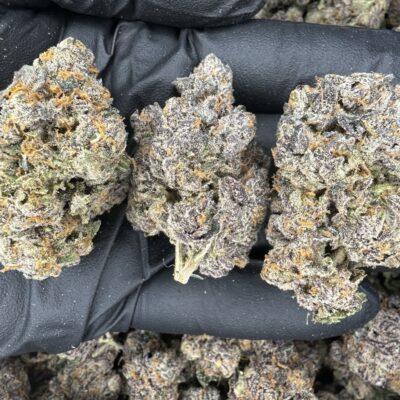 BUBBLEGUM GELATO | THCA FLOWER | THCA 32.429%