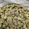 GUSHERS | THCA FLOWER | THCA 33.46% - Image 5