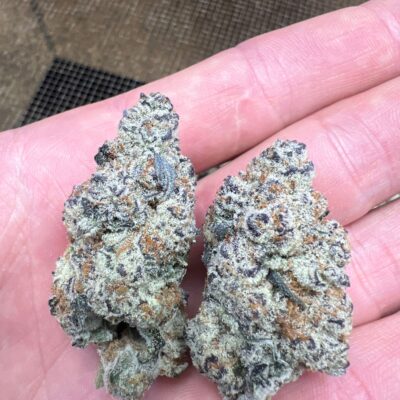 PLATINUM GRAPE PUNCH | THCA FLOWER | THCA 32.646%