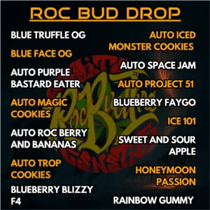 Roc Bud Inc