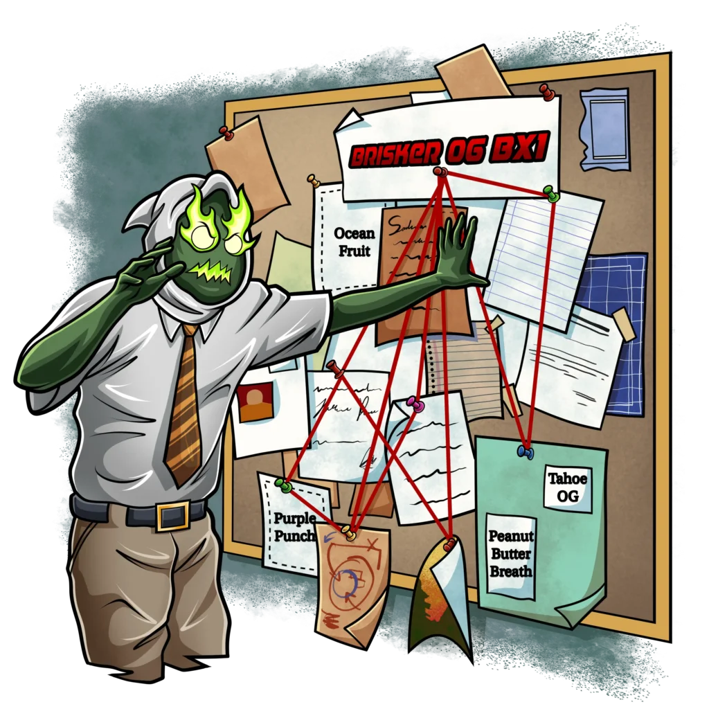 Chemferno + 2x Red Hot Violet | SQUARE ONE GENETICS | PHOTOPERIOD CANNABIS SEEDS FEMALE