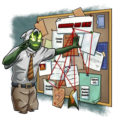 Yuzu Burn + 2x Red Hot Violet | SQUARE ONE GENETICS | PHOTOPERIOD CANNABIS SEEDS FEMALE