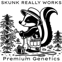 SOUR APPLE SKUNK | SKUNK REALLY WORKS | PHOTOPERIOD CANNABIS SEEDS REGULAR