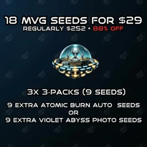 1024 Mvg 15