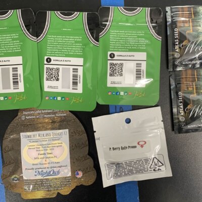 Super Smoke Auto Bundle | $4.20 Per Seed