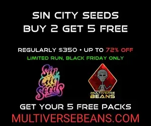 Sin City B2G5 Free