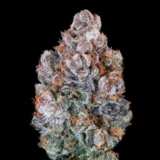 10x Blueberry McMuffin Auto | Preservation Line | FEM Autoflower Seeds