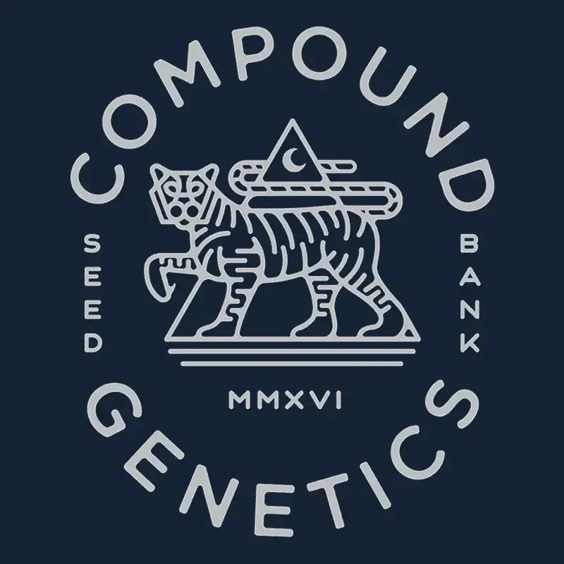 Glue 31 | Compound Genetics | FEM Photoperiod Seeds