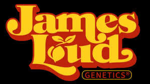 Loud Dream Candy | James Loud Genetics | FEM Photoperiod Seeds