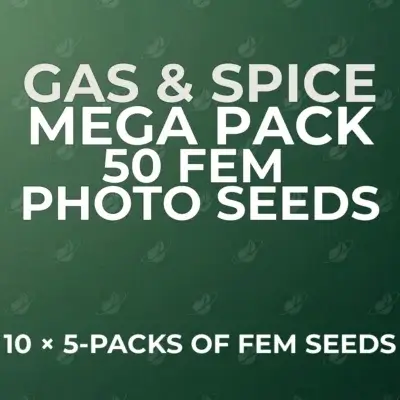 Gas & Spice 50 Seed Mega Pack | Photo | V2