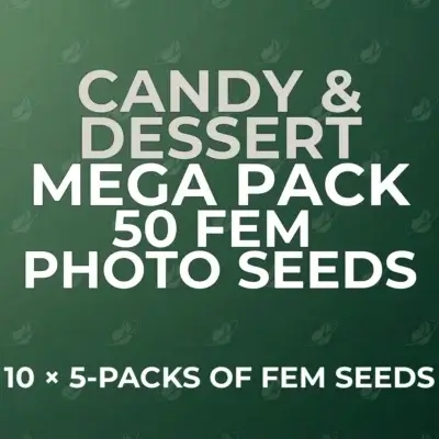 Candy & Dessert 50 Seed Mega Pack | Photo-V1