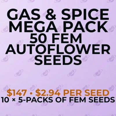 Gas & Spice 50 Seed Mega Pack | Auto