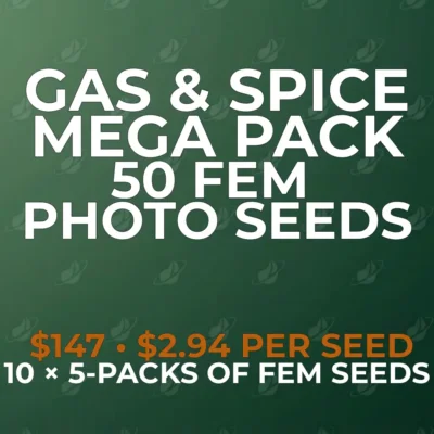 Gas & Spice 50 Seed Mega Pack | Photo