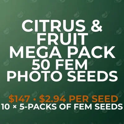 Citrus & Fruit 50 Seed Mega Pack | Photo