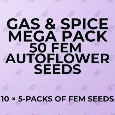 Gas & Spice 50 Seed Mega Pack | Auto | V2