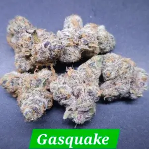 Gasquake Cannabis Seeds By In House Genetics Scaled 1