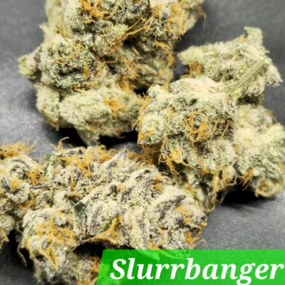 Slurrbanger | In House Genetics | FEM Photoperiod Seeds
