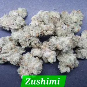 Zushimi Cannabis Seeds By In House Genetics Scaled 1