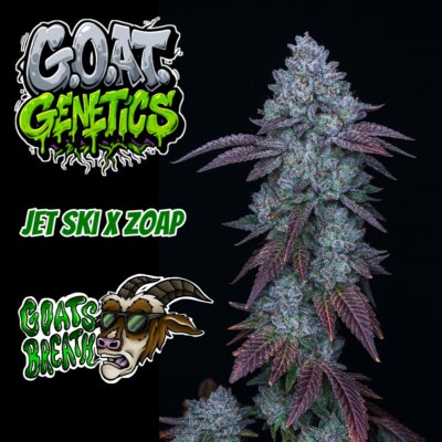 Goats Breath | Goat Genetics | FEM Photoperiod Seeds
