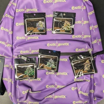 Backpack Bundle A