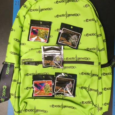 Backpack Bundle B