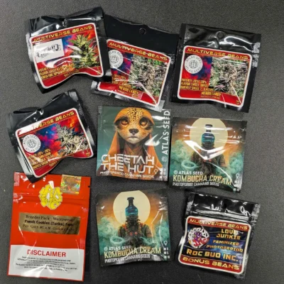 Eclipse Photo Bundle