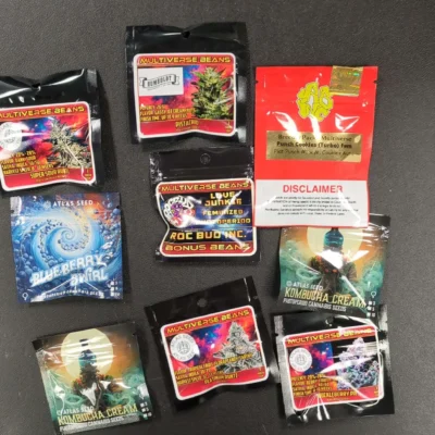 Quantum Drift Auto Bundle