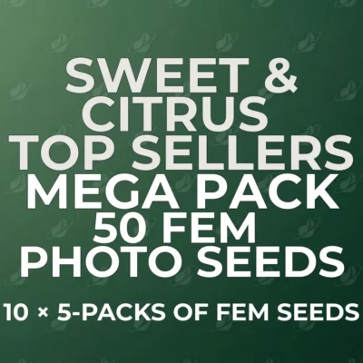 Top Sellers Sweet & Citrus Photo 50-Seed Bundle
