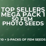Top Sellers Photo 50-Seed Pack 1
