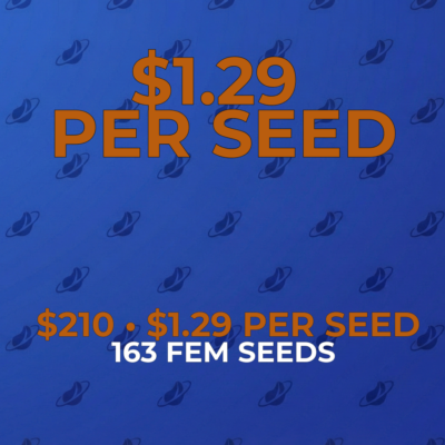 163 seeds for $210 (~$1.29 per seed) | Preservation BOGO: Pick Any 2 Bundles