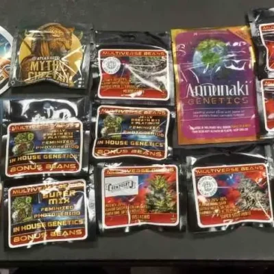 Cosmic Canopy Photo Bundle