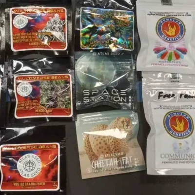 Galactic Photo Bundle