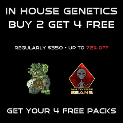 IHG Best Sellers B2G4 Free