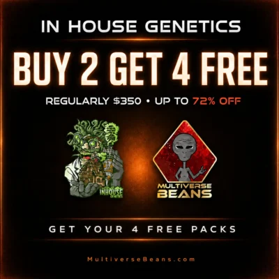 IHG Best Sellers B2G4 Free