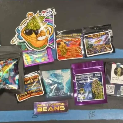 Lunar Drift Auto Bundle