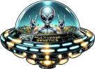 MVG LOGO