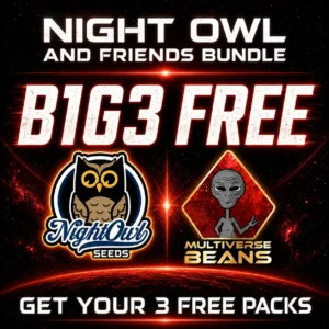 Night Owl B1G3 Free Bundle