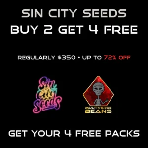 Sin City Seeds