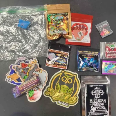 Starlight Auto Bundle