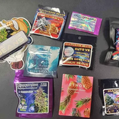 Warp Drive Auto Bundle