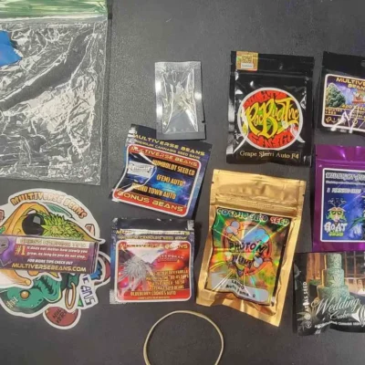 Zero‑Gravity Auto Bundle