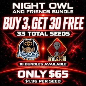 Nightowl 800px Q70
