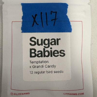 12x Sugar Babies | Photo Reg | LITFARMS | Breeder Bonus