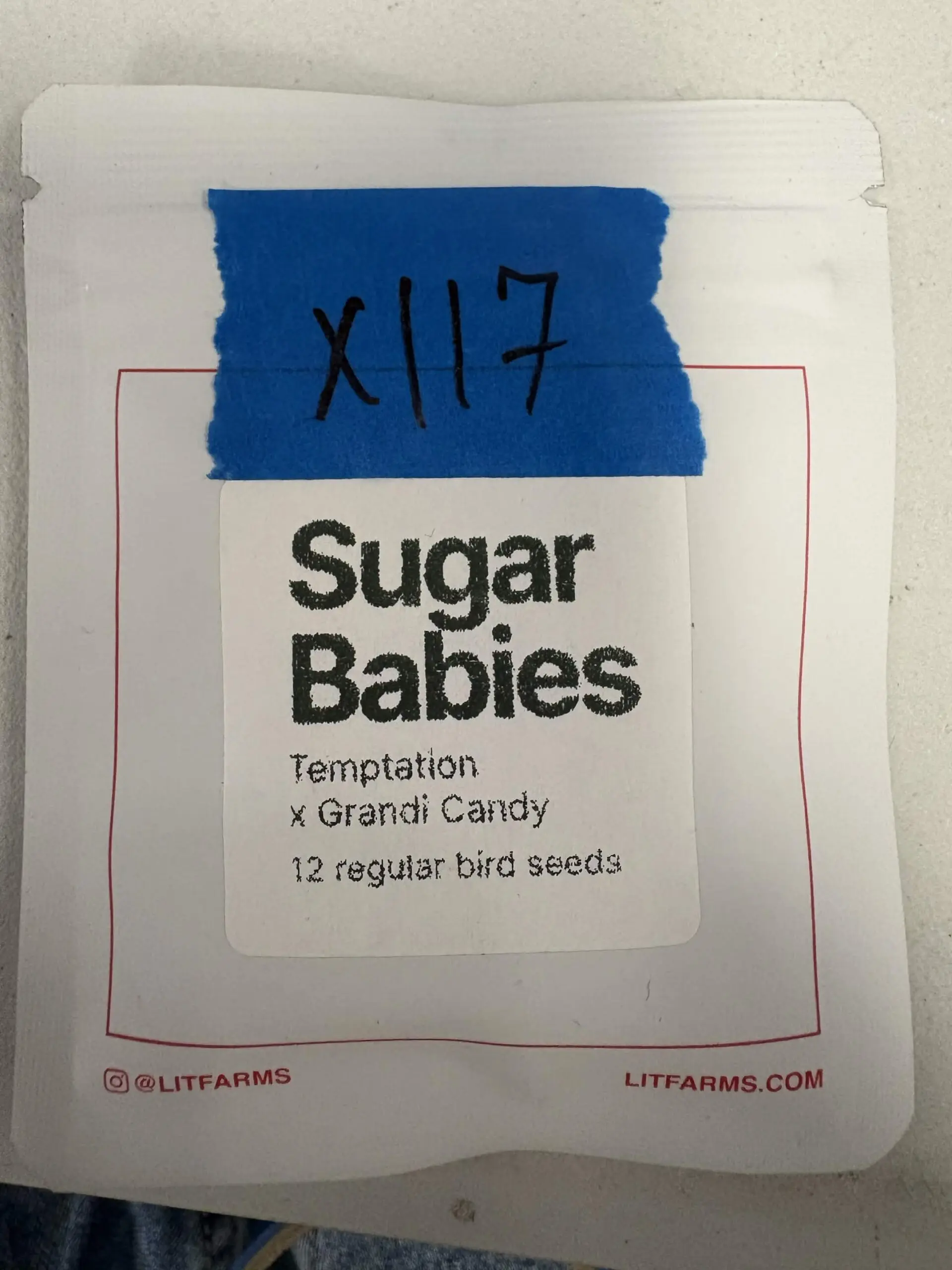 12x Sugar Babies | Photo Reg | LITFARMS | Breeder Bonus